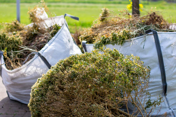 Best Office Junk Removal  in Pegram, TN